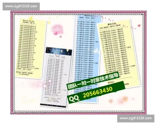 《全面解析体育APP使用指南助你轻松掌握各种功能与操作技巧》